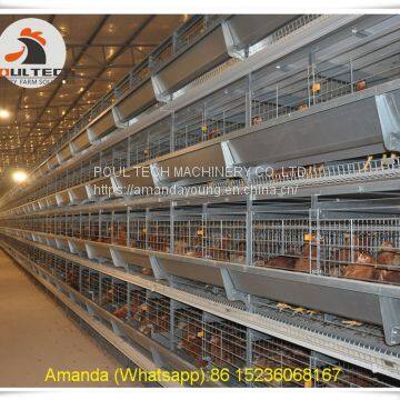 Ghana Poultry Farming House Battery Chicken Cage & Layer Cage & Laying Hen Cage with 112 birds