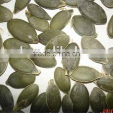 Jin No.1 No shell Styrian Pumpkin seeds