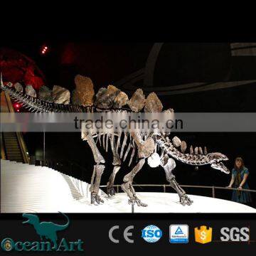 Different types simulation resin dinosaur skeleton