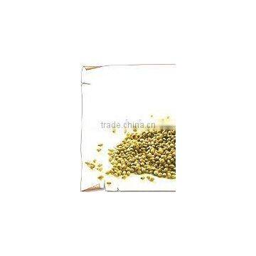 Coriander Seeds