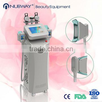 (Hot in Europe) 2015 Advanced Medical CE approved fat freezing cryolipolysis machine