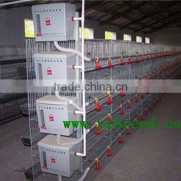 China factory automatic commercial broiler battery cages