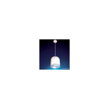 Sell Suspended Luminary For Metal Halide Lamp