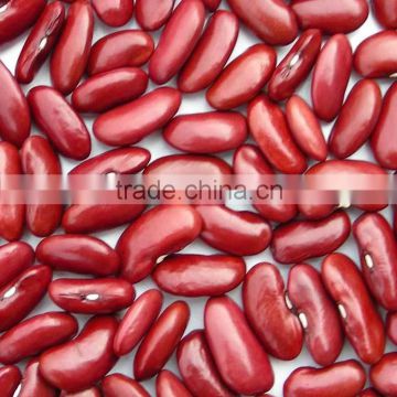 organic red kidney bean