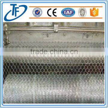 Alibaba china chicken galvanized hexagonal wire mesh With Low price