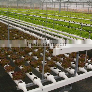 Professional Hydroponics / NFT / Trough Growing Gutter for Polycarbonate / Poly Film Multi Span Greenhouse