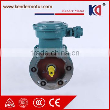 Cast Iron Explosion Proof Electric Motor With Different Current