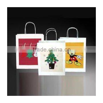 2013 Hot Sale Shopping Paper Bag