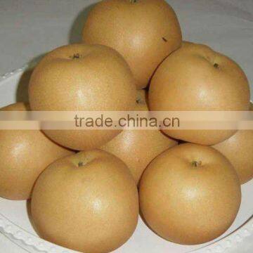 Chinese fresh Fengshui pear
