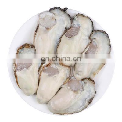 IQF frozen oyster meat