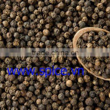BLACK PEPPER - Vietnam, CLEANED, HIGH QUALITY, BEST PRICE