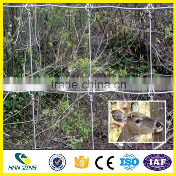 Hanqing High Quality Fixed Knot Horse Fence/Camel Fence Manufacturer