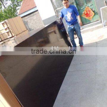 film face plywood ,good quality,competitive price,different sizes and grades,with E1/E2/Mr/Melamine/WBP/Phenolic glue