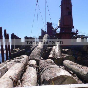 Vessels for logs cargo ex Russia