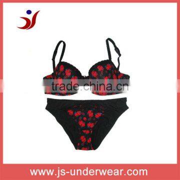 OEM style wholesale printed sexy tube bra set to Europe Market