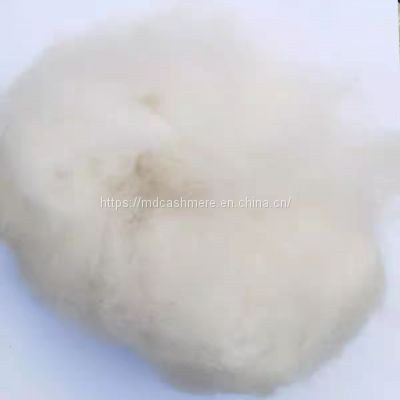 Chinese Dehaired cashmere fibre inner mongolia xinjiang cashmere 15.50micron