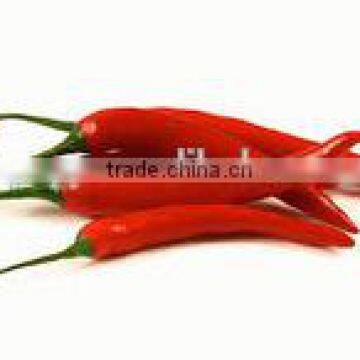 Best Selling Hot Red Chilli Pepper