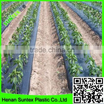 blow molding 60 micron agriculture plastic mulch film protection seedling root