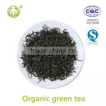 China organic green tea best green tea for sell