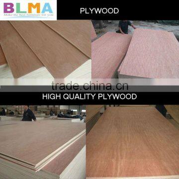 15mm plywood/15mm poplar plywood/15mm plywood sheet