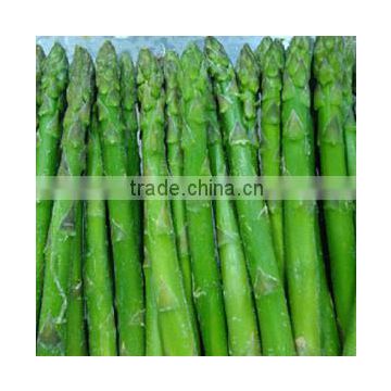 frozen green asparagus from China with good quality and best price