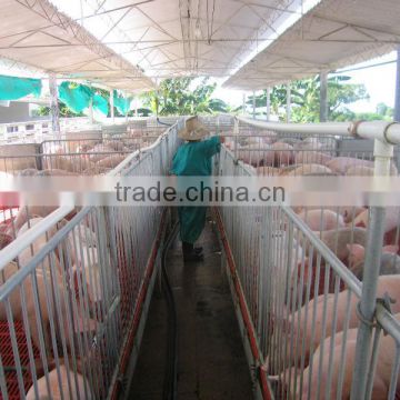 Elevated Pig Stall Pig Farming Equipment